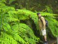 Madeira0851.JPG